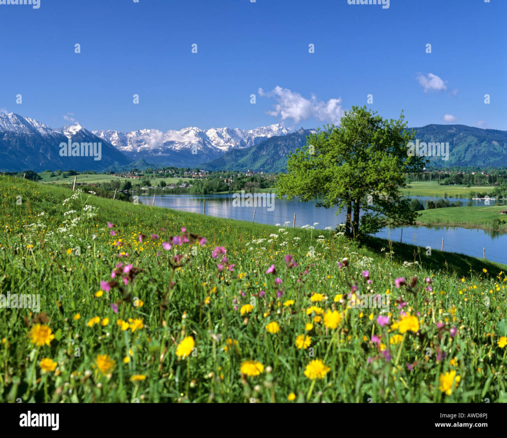 image 0f9ab727 c5ee 45a9 a38b c09c1c27d032.png