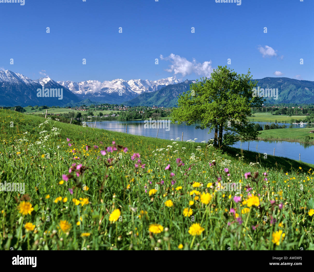 Home image 0f9ab727 c5ee 45a9 a38b c09c1c27d032.png