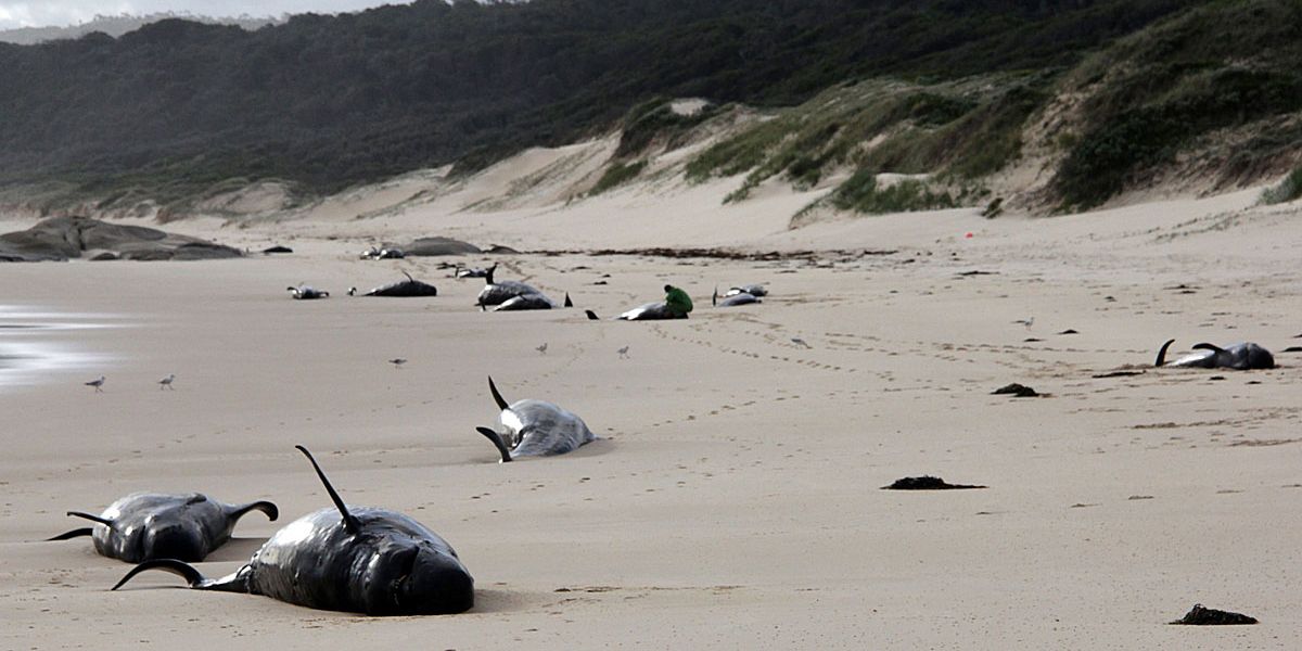 image 272c78c9 2e68 438d 91f2 28ae98ecacb3.png