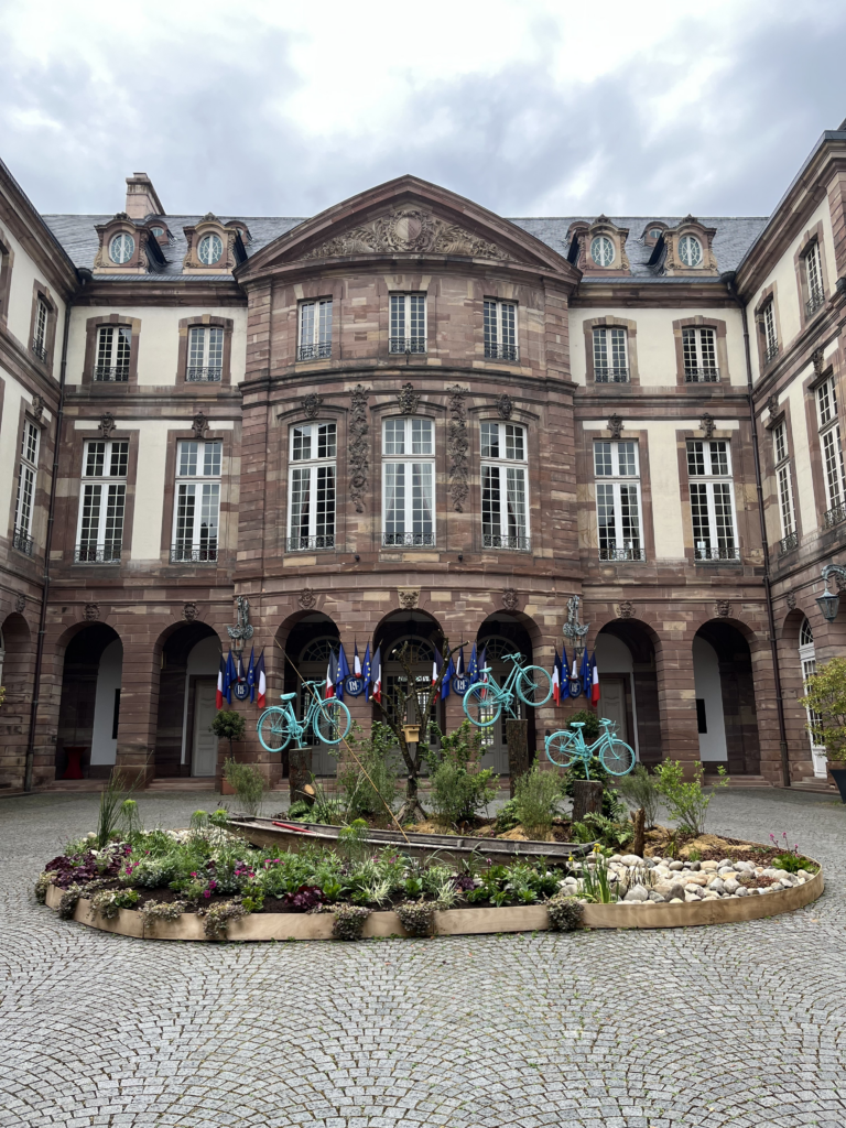 image 42748943 b55e 4977 8875 ba9096176766.png