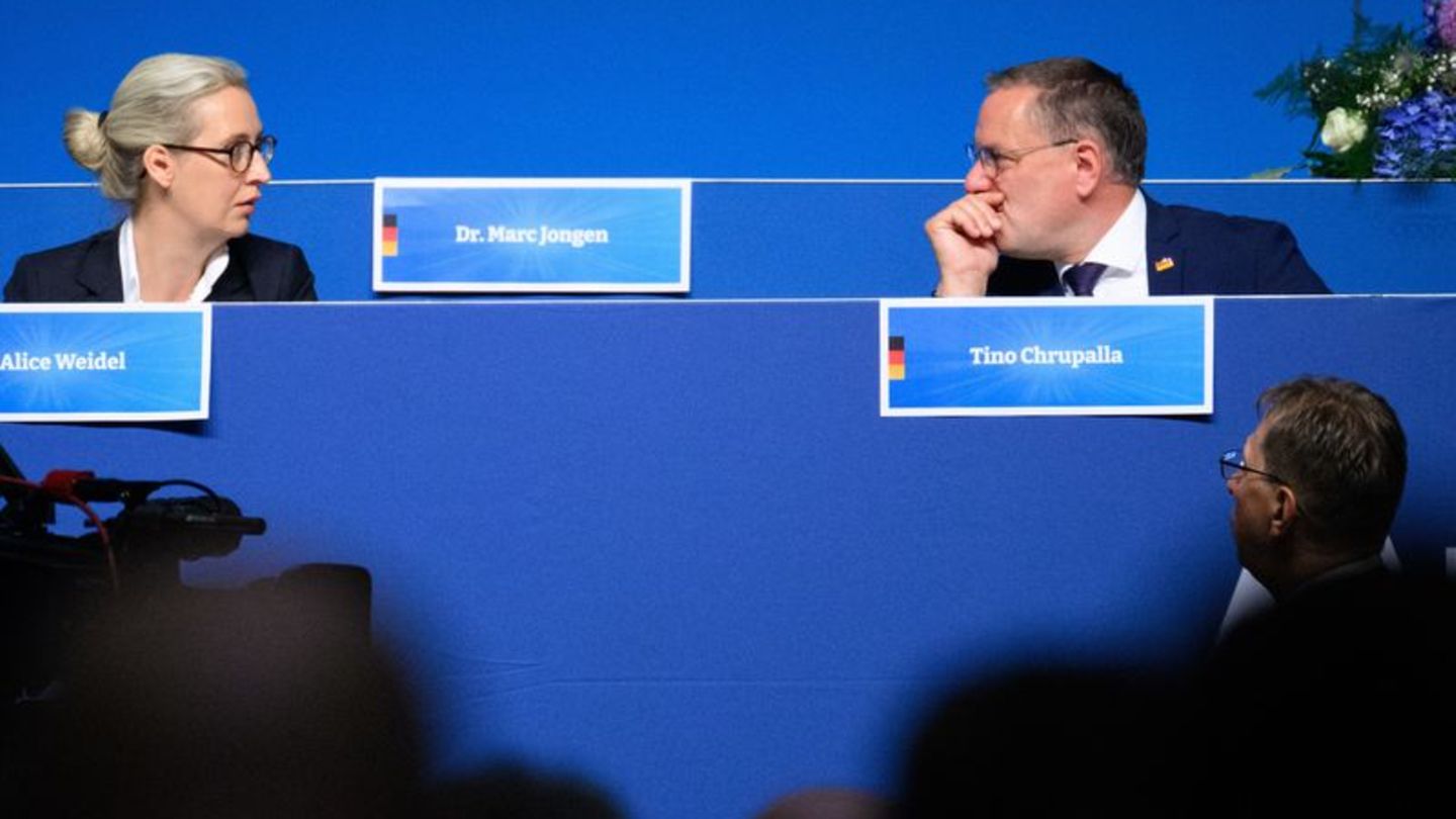 image 5dd8e40f 64f4 4d82 bd3c 4fc617fc1c72.png