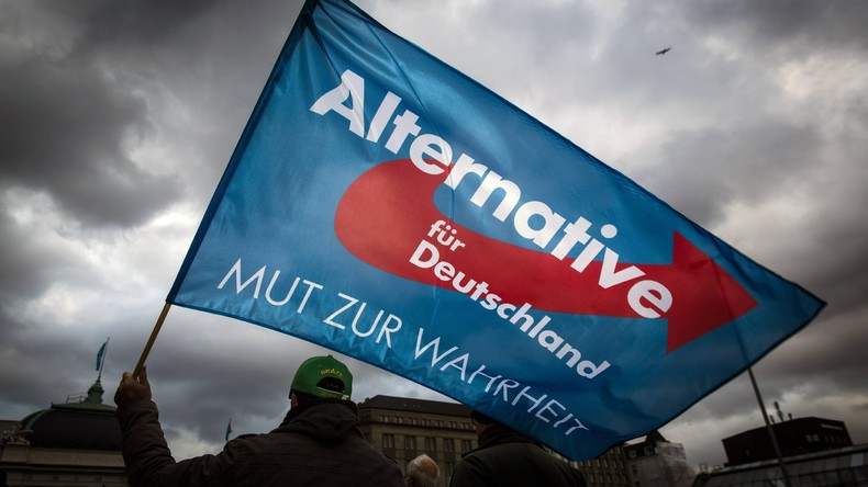 Außenpolitik der AfD: Zweifel an Loyalität und strategischen Implikationen image 7c0ccf1a c83b 4dc0 9cec b522adce12a6.png