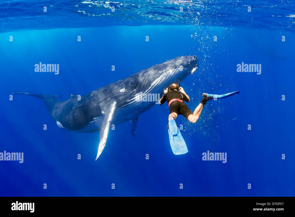 image 90ca668a 11a8 46d7 8232 fdad65dca74f.png