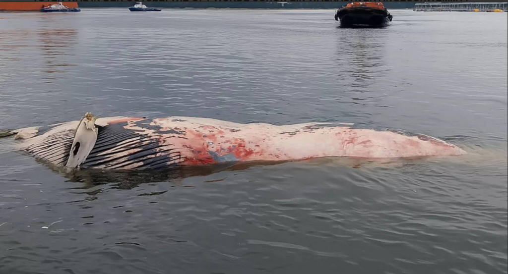 image be1536c9 ee9a 4976 8a43 4a67285510cc.png