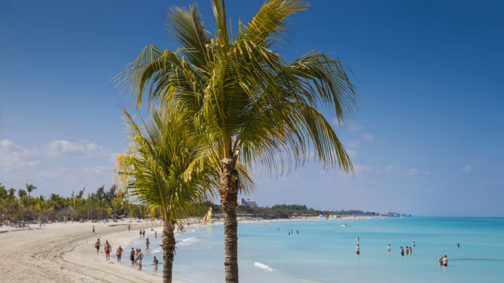 Kuba: Warum der Protest gegen Stromausfälle in Gewalt umschlägt image cde68b33 b796 49f9 b3cb 84f8c0440870.png