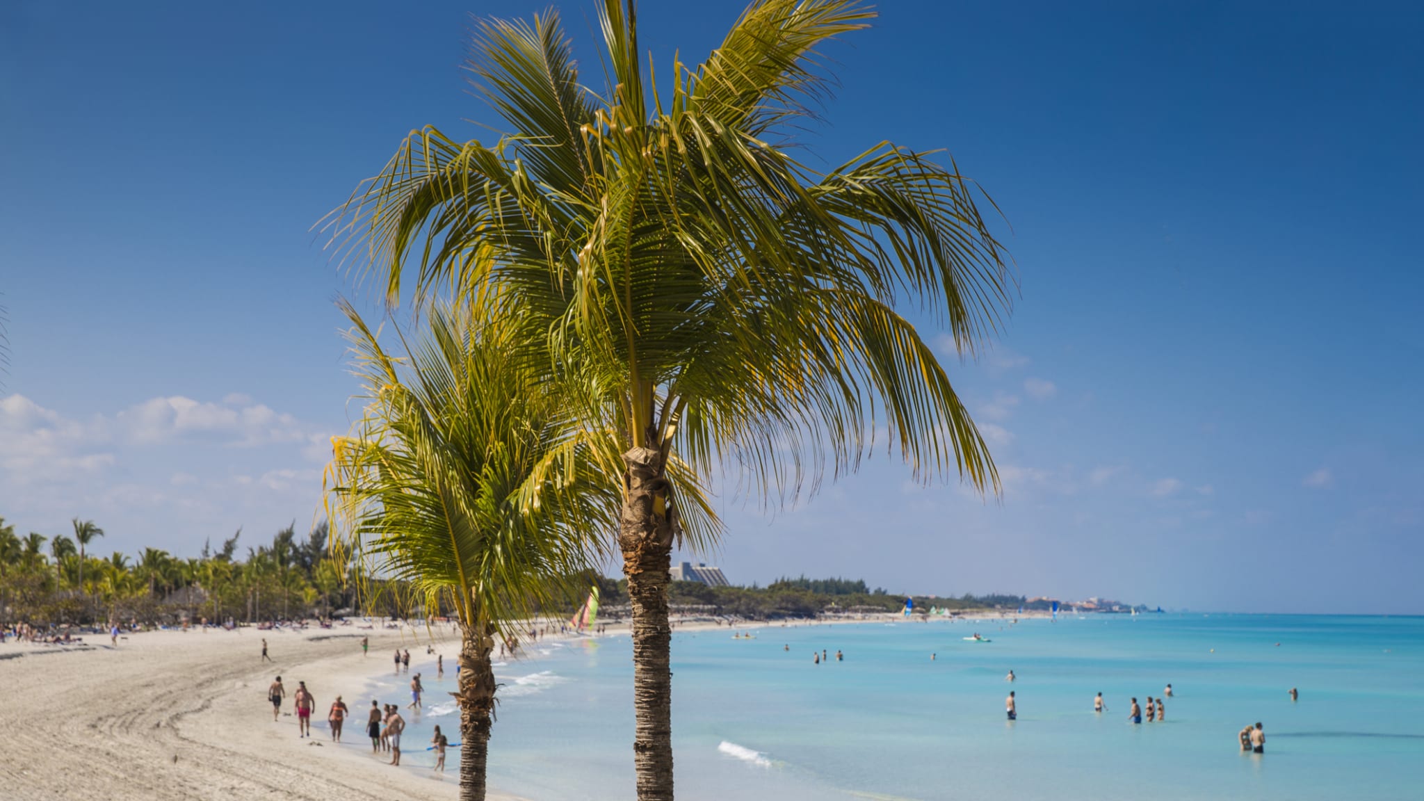 image cde68b33 b796 49f9 b3cb 84f8c0440870.png