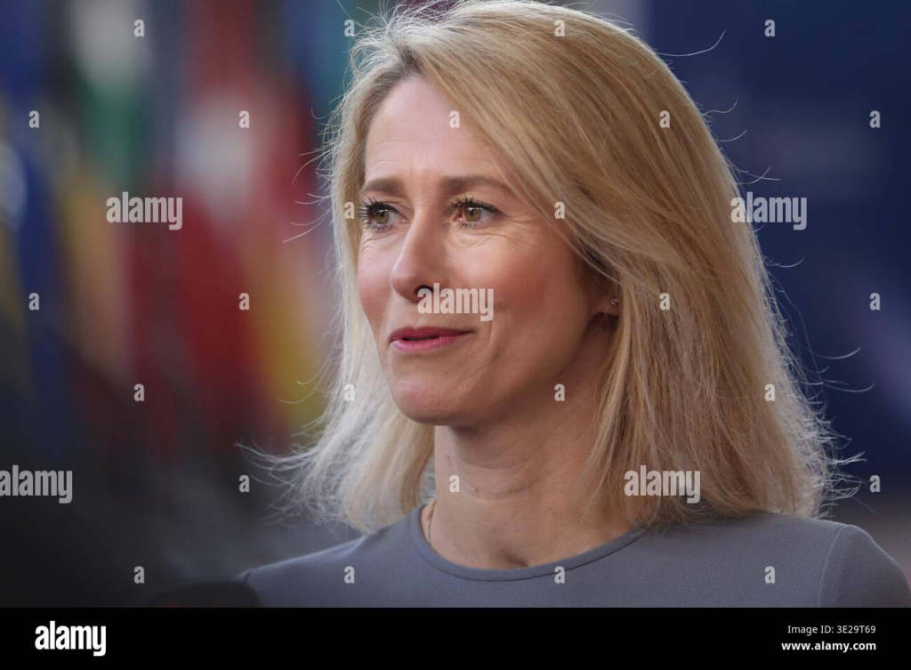 image ec663332 67a4 4d02 9f0d b757296937ba.png