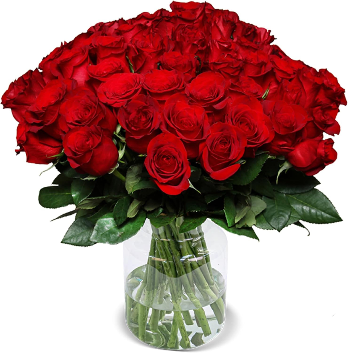 image f3f2a686 0de4 451b 9612 4898e1e4cc0c.png