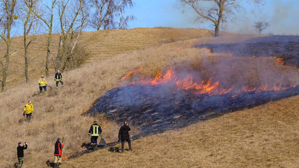 image ff34d2a0 0253 4328 b62e 4c05df691260.png