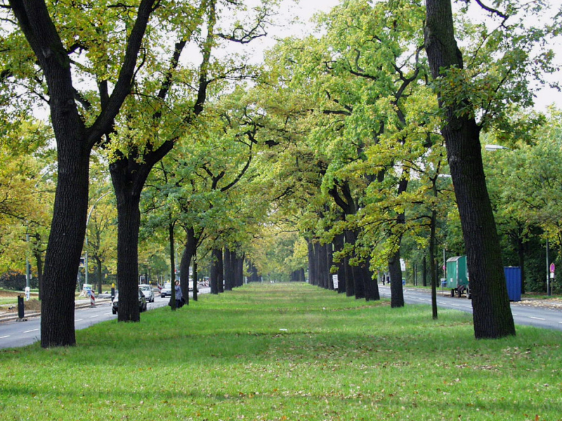 potsdamer caussee.jpeg